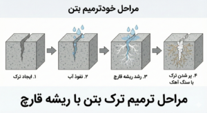  اینفوگرافیک مراحل خودترمیم بتن: ۱. ایجاد ترک ۲. نفوذ آب ۳. رشد ریشه قارچ ۴. پر شدن ترک با سنگ آهک